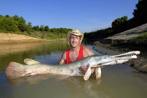 poisson_alligator_top10