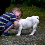 L’influence d’un animal dans l’éducation des tout-petits