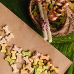 Des Recettes de Friandises Maison pour Chiens : Régalez Votre Compagnon à Quatre Pattes